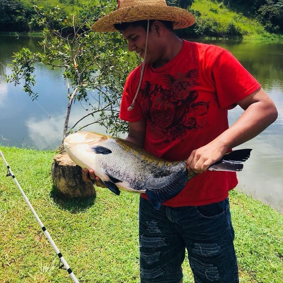 Hotel Vista Lago サンティアゴ エクステリア 写真